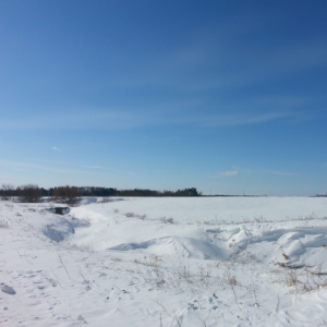 Oka National Park